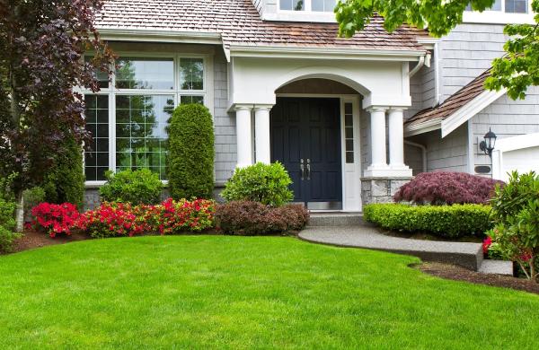 Wilfredo's Landscaping Services