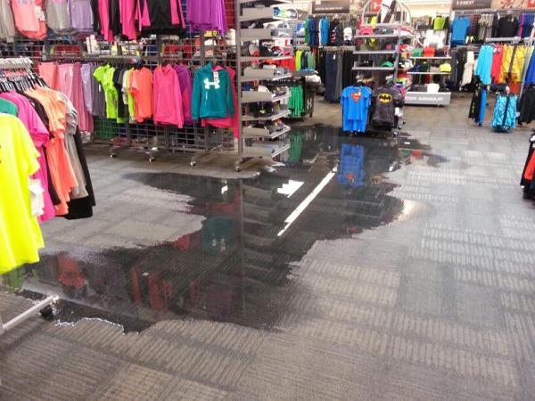 Gulf Coast Carpet Cleaners
