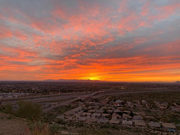 Muscle Movers Mesa