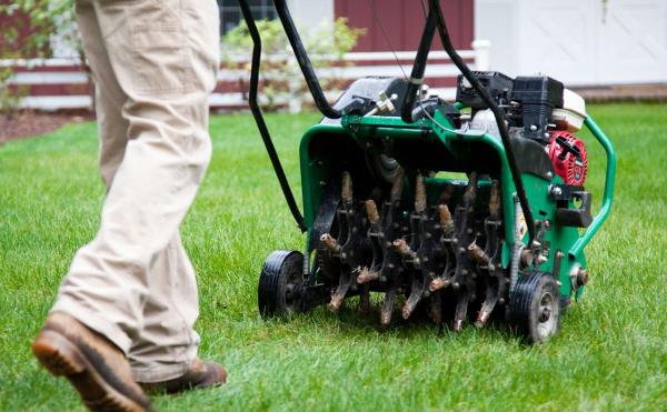 TK Landscape and Lawn Service LLC