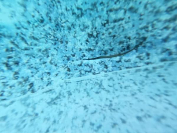 Atlantic Pool Leak Detection