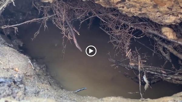 Atlantic Pool Leak Detection
