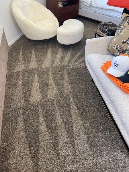 Professional Carpet Cleaning Services