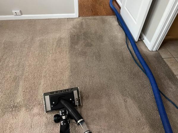 MK Carpet Cleaning