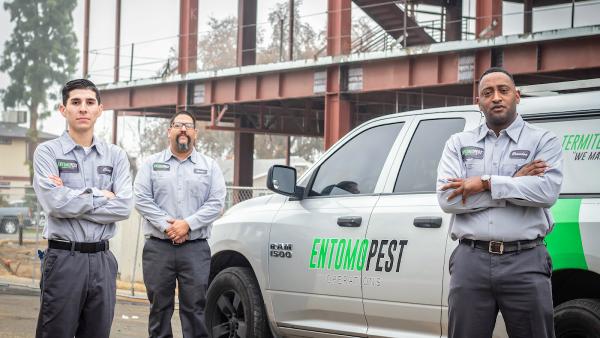 Entomo Pest Operations Inc.