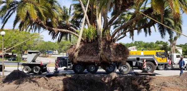 Total Landscape Management