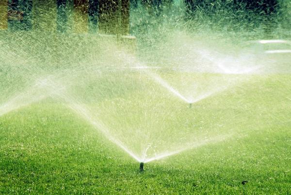 Courtney Sprinklers