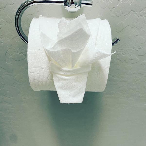 Pinnacle Peak Cleaning Services