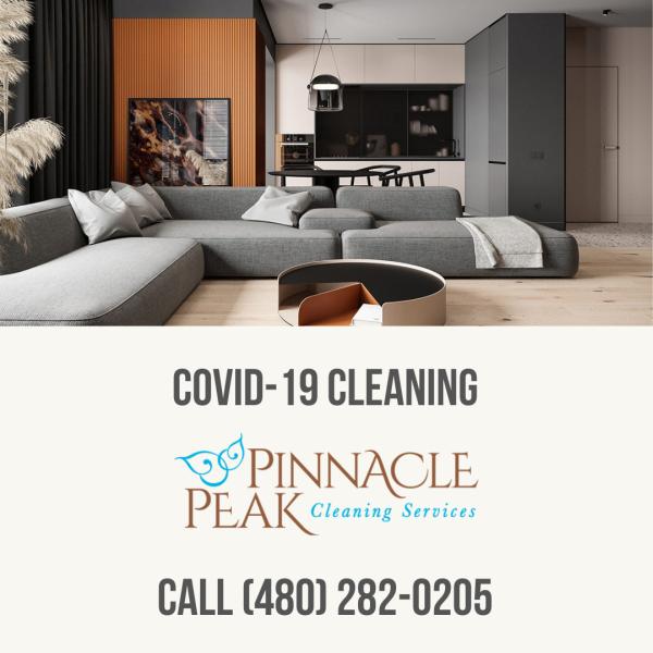 Pinnacle Peak Cleaning Services