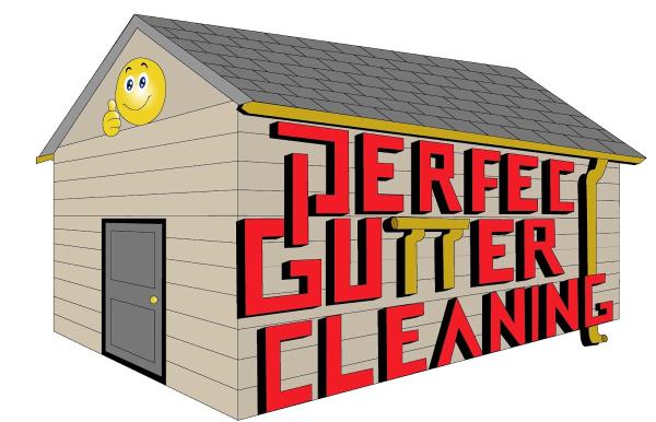 Perfect Gutter Cleaning