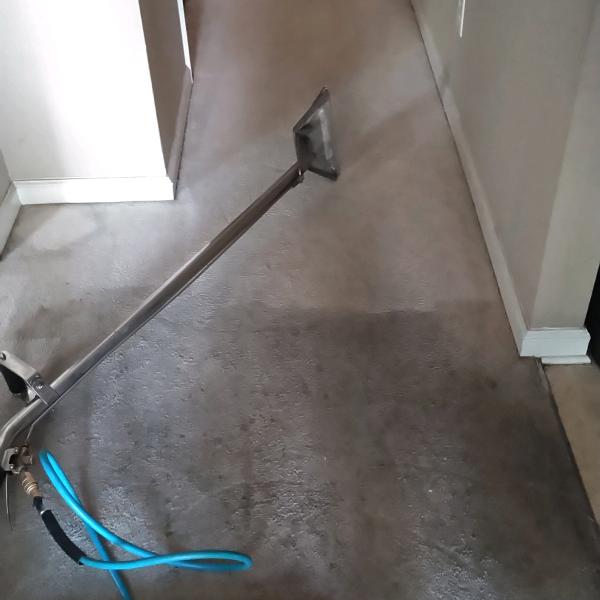 Carolina Carpet Cleaning