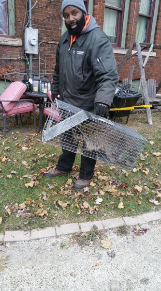 Final Conflict Pest Management