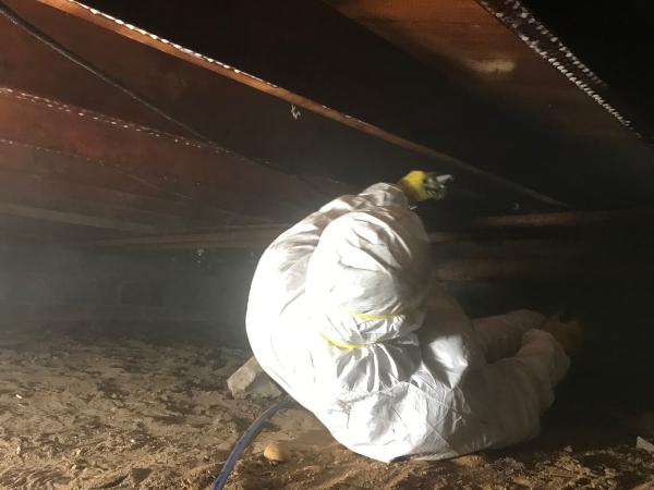 Affordable Remediation & Emergency Services