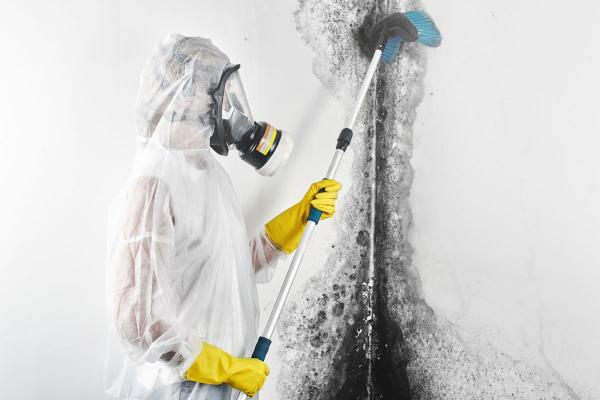 Affordable Remediation & Emergency Services