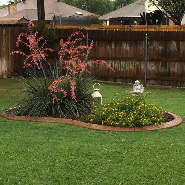 Gro Lawn