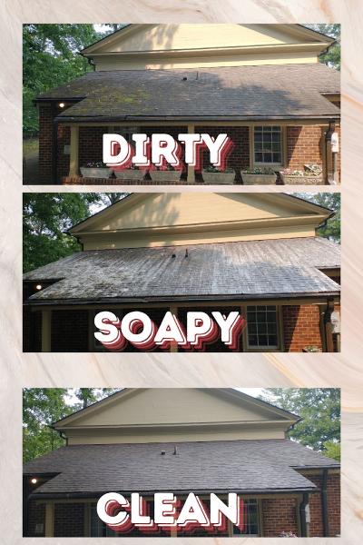 Sarp Services