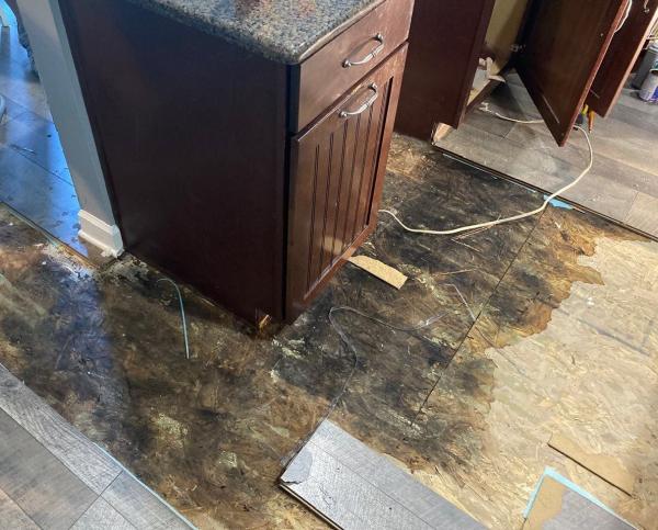 Quality Restoration