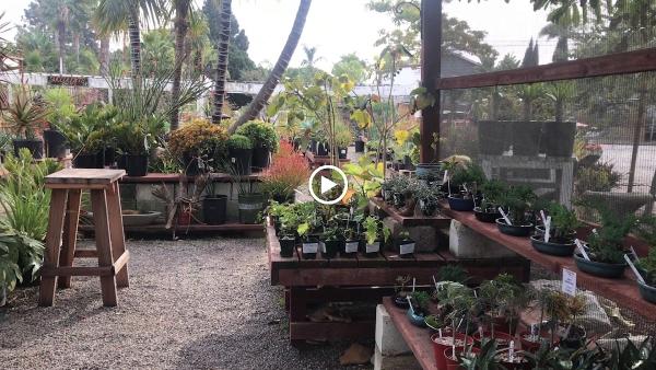 Anderson's La Costa Nursery