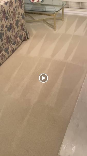 Team Us Carpet Care
