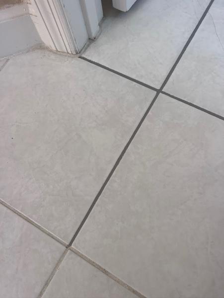 Team Us Carpet Care