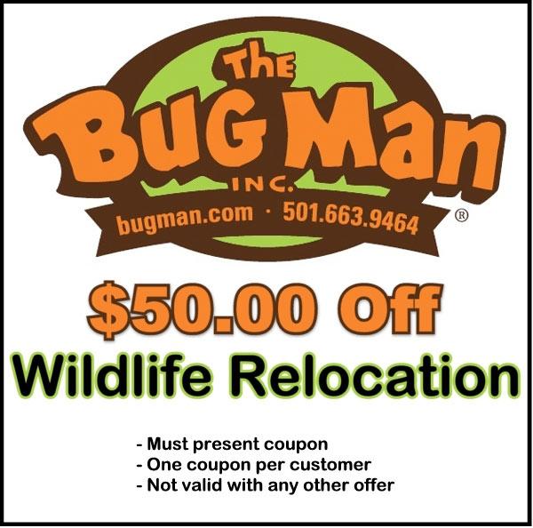 The Bug Man