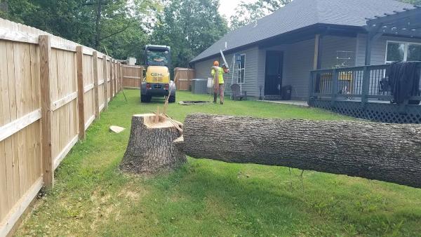 Superior Tree Service