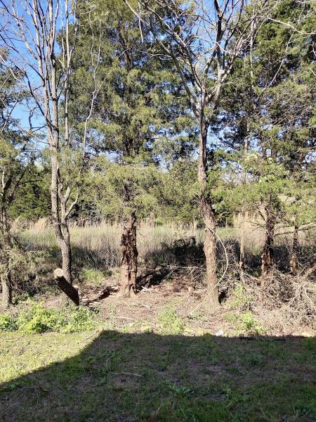Superior Tree Service