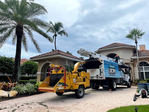 Lucky Tree Service