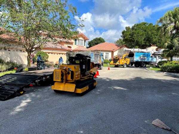 Lucky Tree Service