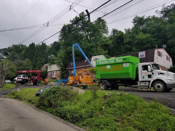 Greater Pitt Tree Service LLC