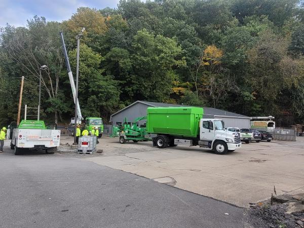 Greater Pitt Tree Service LLC