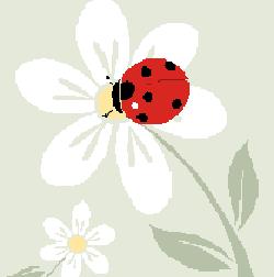 Ladybug Exterminating LLC