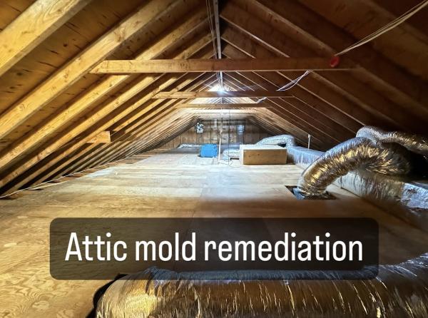 Island Fire & Water Restoration
