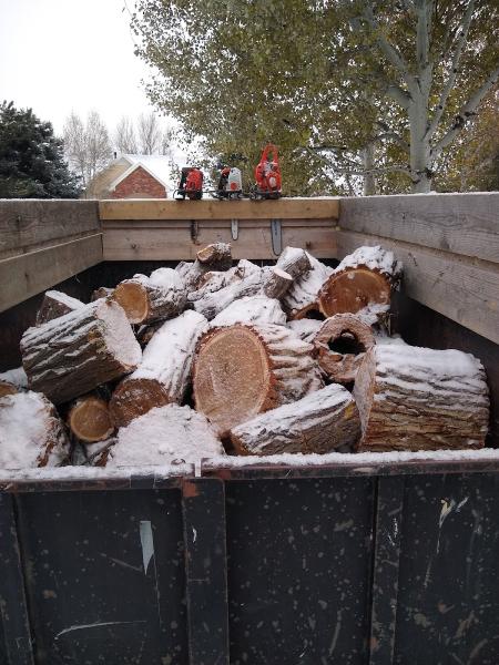 Expert Tree Service LLC