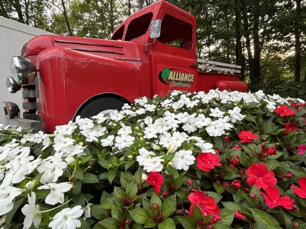 Alliance Landscaping