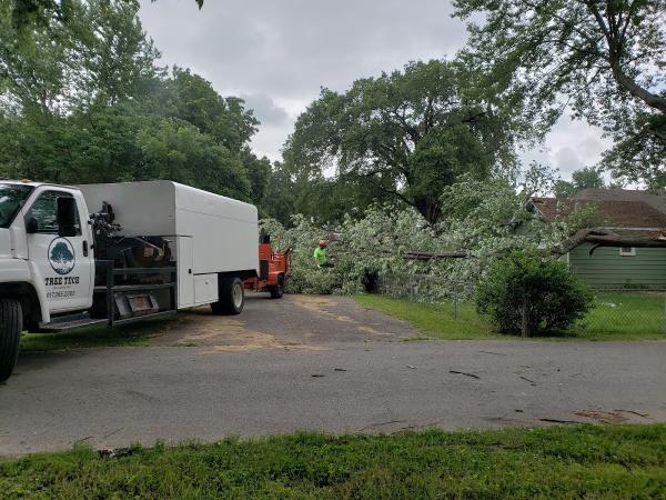Certified Tree Tech