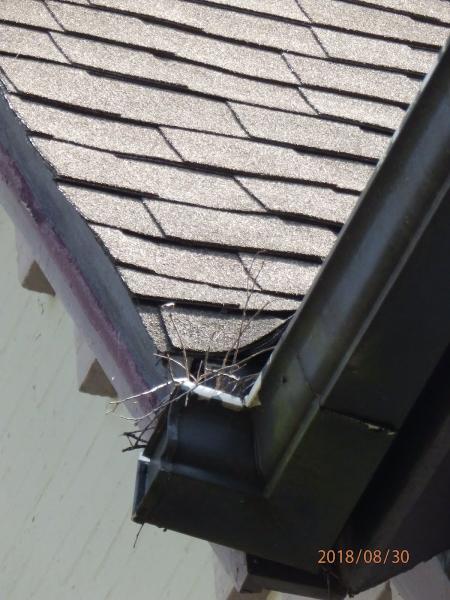 Firehouse Gutters
