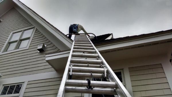 Family Window Cleaning & Property Maintenance