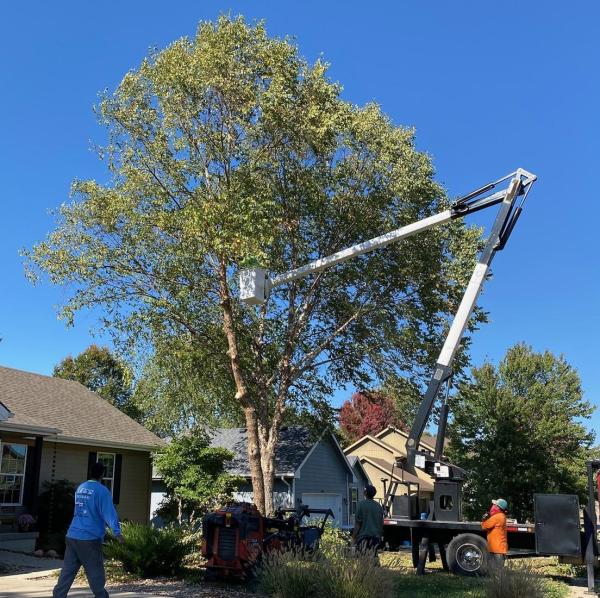 Lee's General Contracting