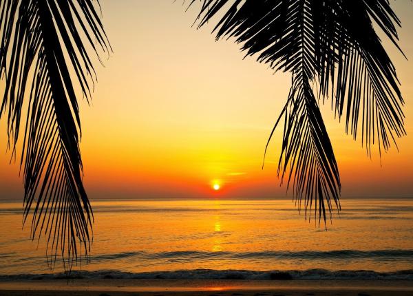 Florida Management and Consulting Group