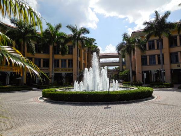Florida Management and Consulting Group