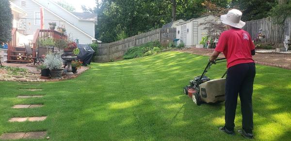 Steeplechase Lawns