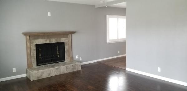 Valley's Painting