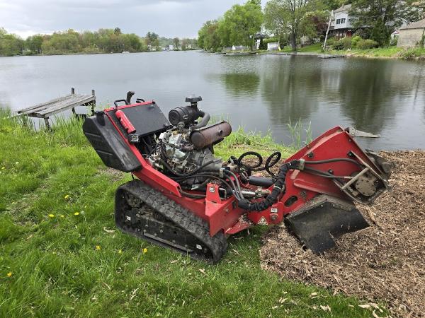 Grin & Grind Stump Removal