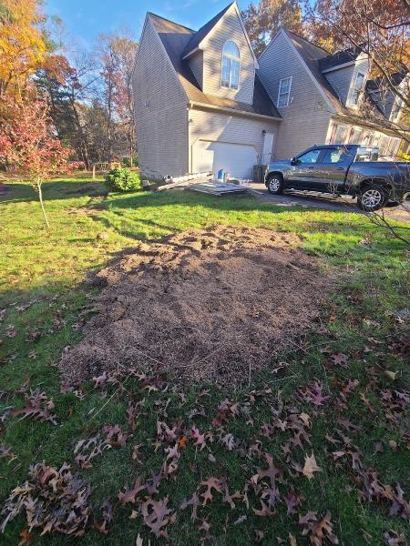 Grin & Grind Stump Removal