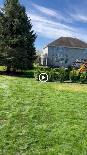 Cutting Edge Tree Service LLC