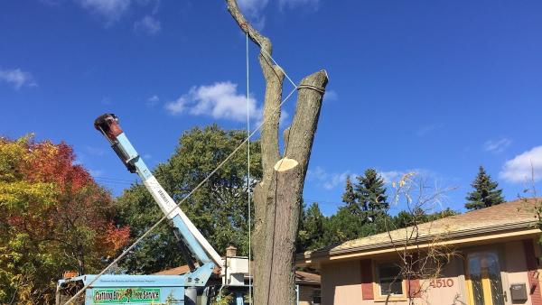Cutting Edge Tree Service LLC