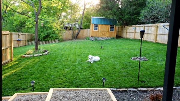 Clean Air Lawn Care- Lawn Maintenance Boise