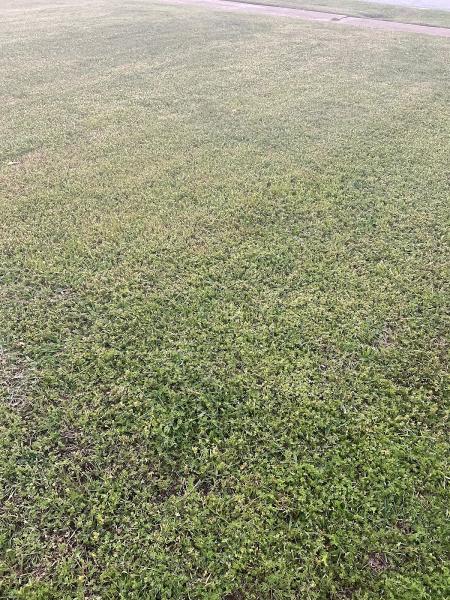 Henderson Lawn Care LLC