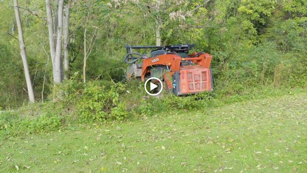 Timber Works Tree Care